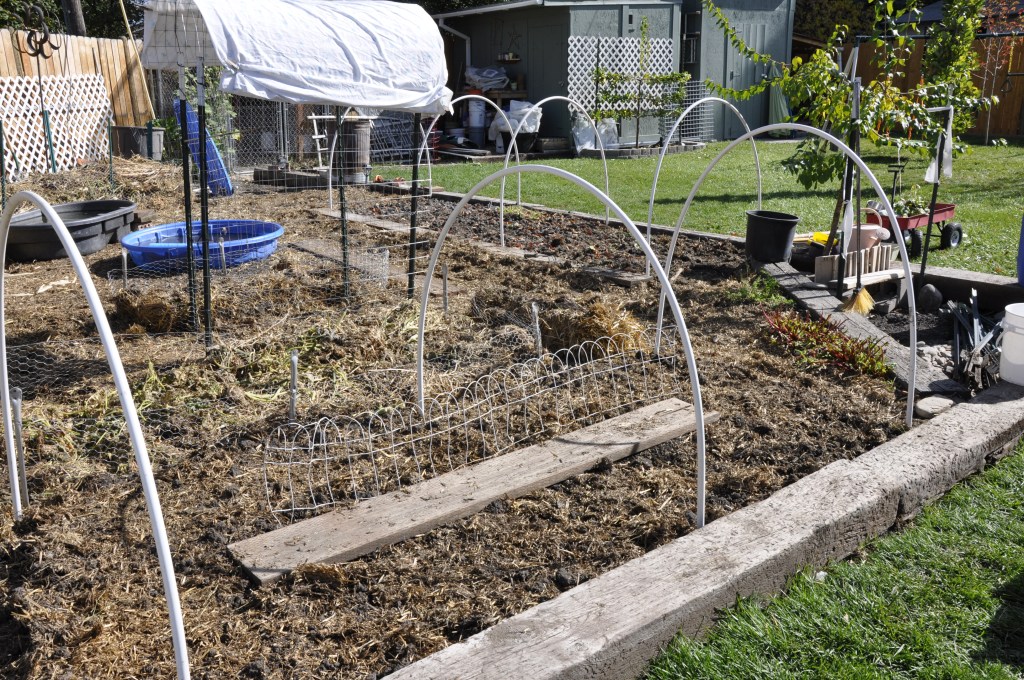Garden Hoop House, winter gardening, hoop house, garden season extenders, how to extend garden season