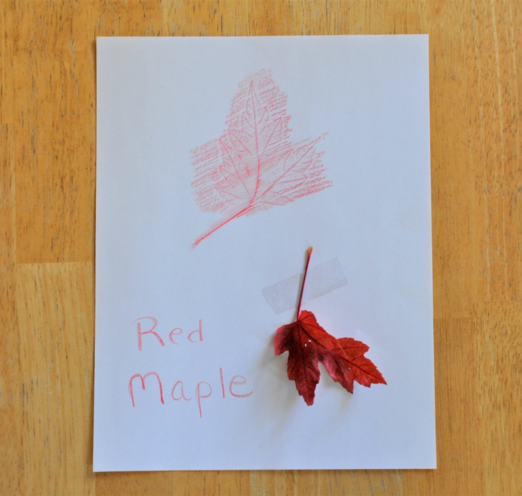 Leaf rubbing with crayons, kids leaf project, fall project for kids