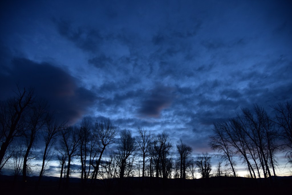 The FEAR of starting something new, fear, fear of unknown. fear of failure, fear of shame, fear of wasting money, fear of wasting time, fear ofsuccess