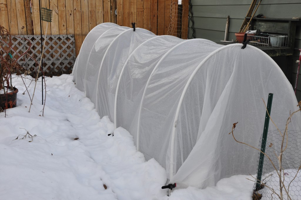 Garden Hoop Houses, winter gardening 