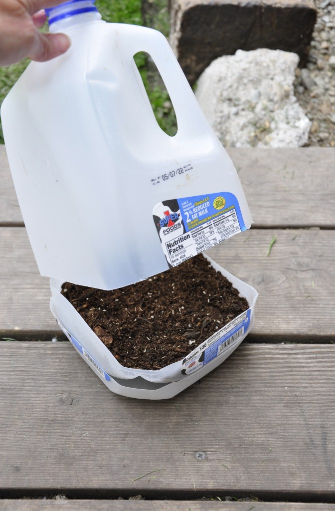 Reuse/Repurpose: Milk Jugs