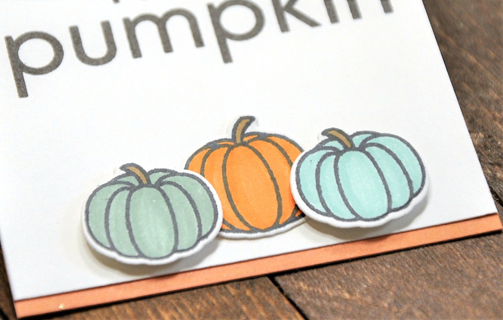#sunnystudiostamps #sunnystudiostampsbountifulautumn #sunnystudiostampsfallscenes #sunnystudiostampshappyharvest #stampinup #parklanepaper #recollectiondies #pumpkincards #pumpkintags