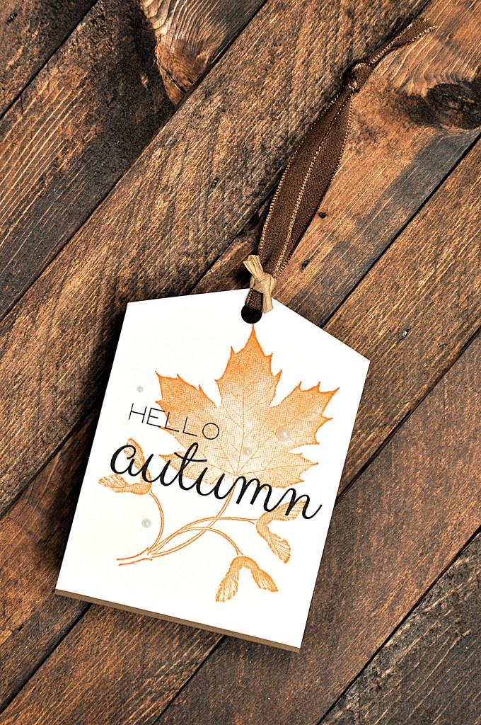 Autumn Tags, Hello Autumn, Happy Autumn Wishes free printable tags
#autumntags #freeprintbale #freeprinatbleautumn #printableautumntags #stampinup #stampinupsoftseedlings #hoobylobbystickers