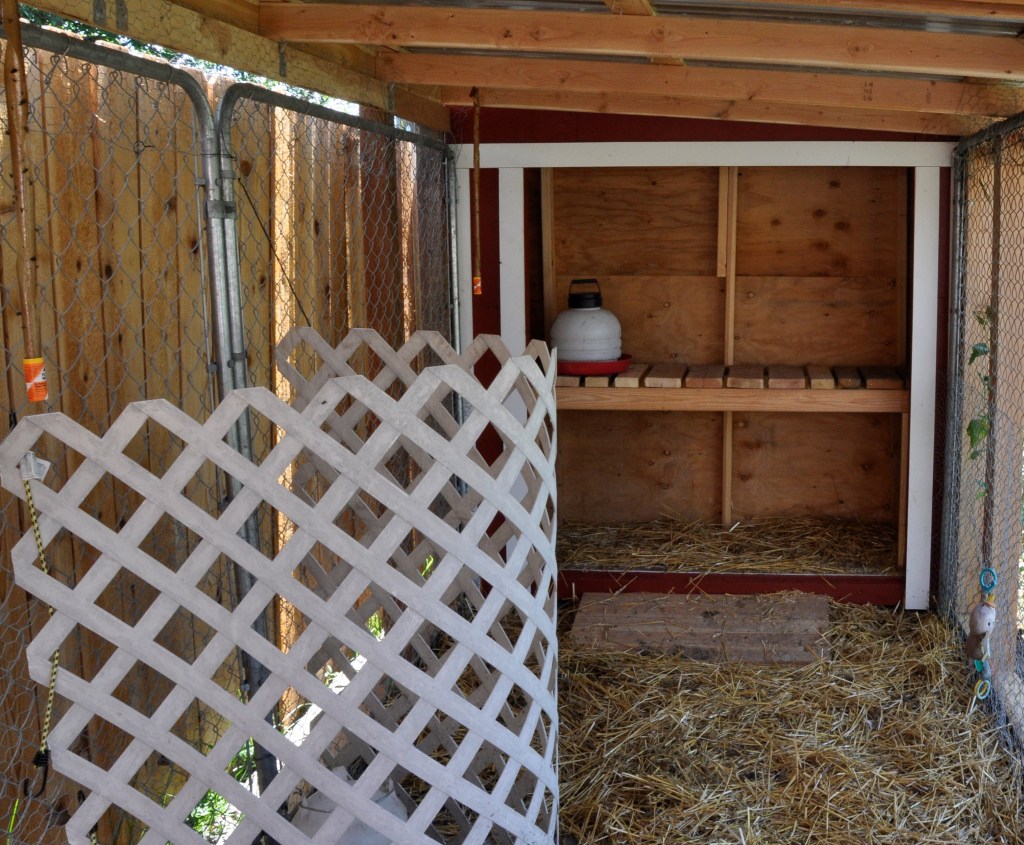 Duck House - part 2, duck house, building a duck house, coop, building a coop, duck house and run, duck run, chicken run, chicken house