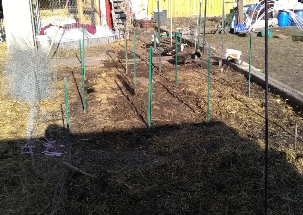 Compost Garden Beds, raised compost garden beds, compost beds, raised garden beds