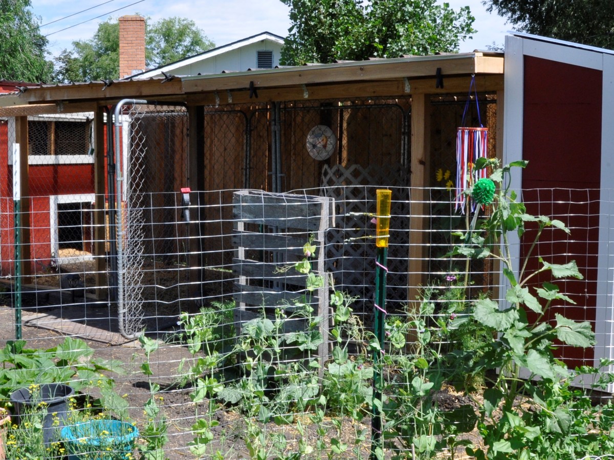 Duck House – part&nbsp;1