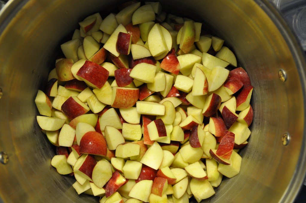Food Saver Series: Apples, drying apples, drying apple slices, homemade applesauce, homemade apple pie filling, saving apples, Gravenstein apples
