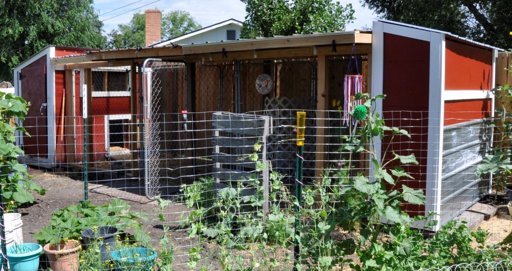 Winterizing a Duck house and run, winterizing coop, ducks in winter, chickens in winter, duck house in winter, keeping ducks warm in winter, keeping chicken warm in winter