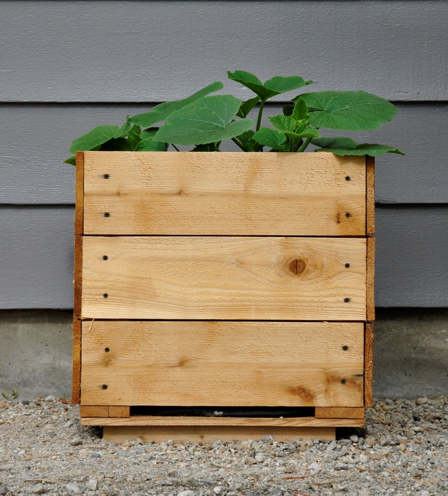 Wood planter... diy planter, ryobi tools