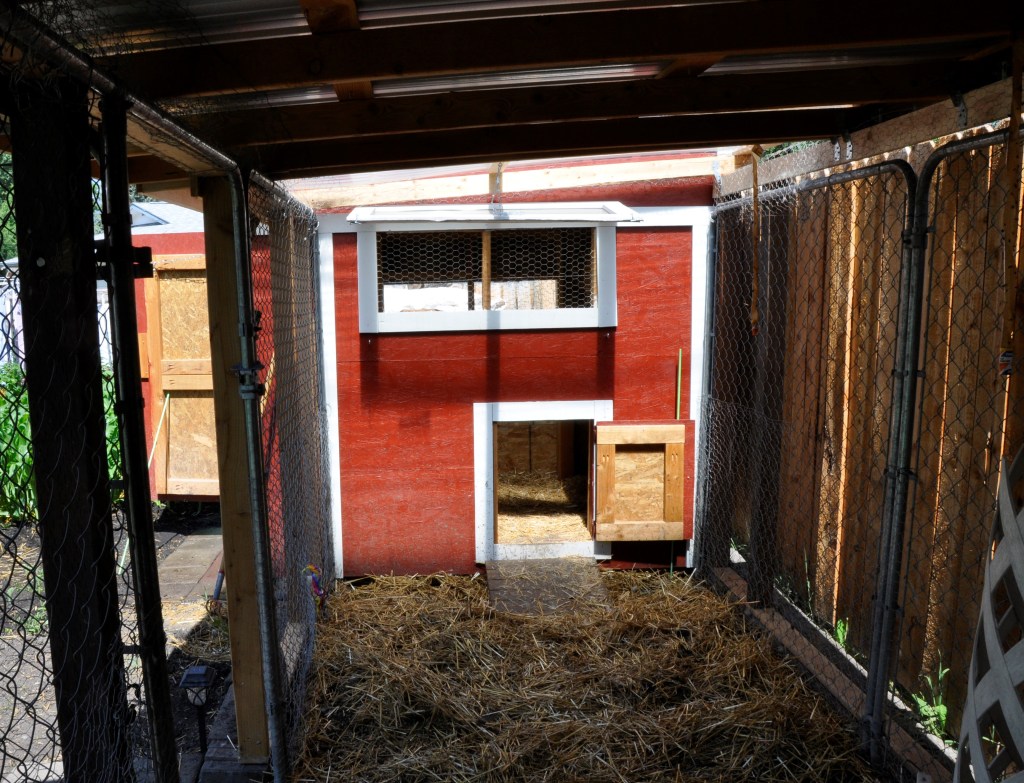 Duck House - part 2, duck house, building a duck house, coop, building a coop, duck house and run, duck run, chicken run, chicken house