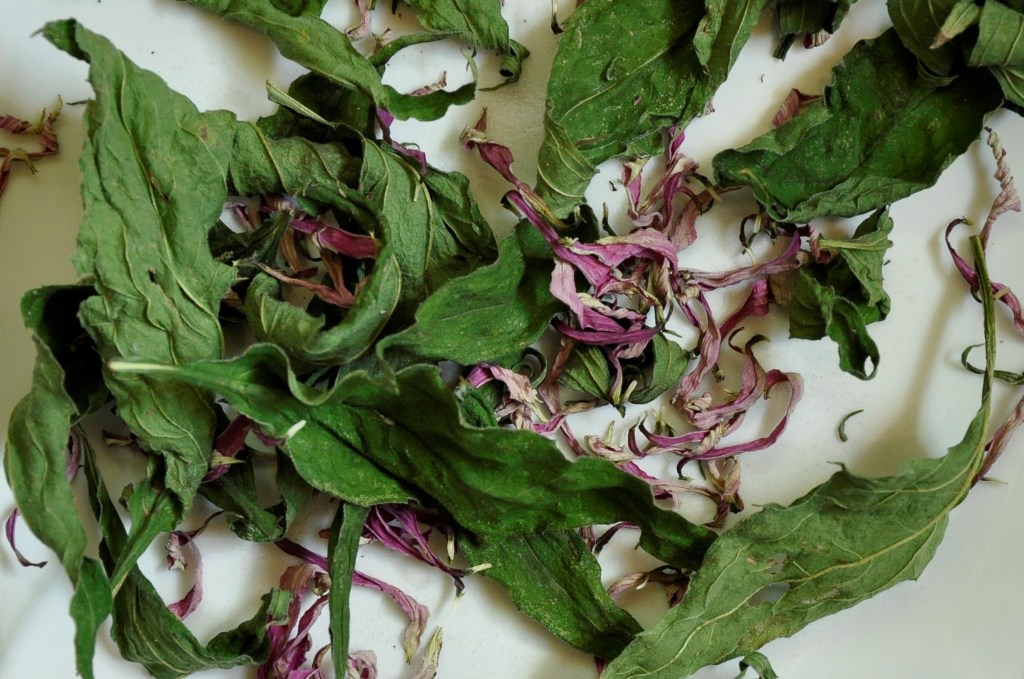 Food Saver Series: Tea Herbs, drying chamomile, drying lemon balm, drying echinacea, making your own tea, diy tea mixes