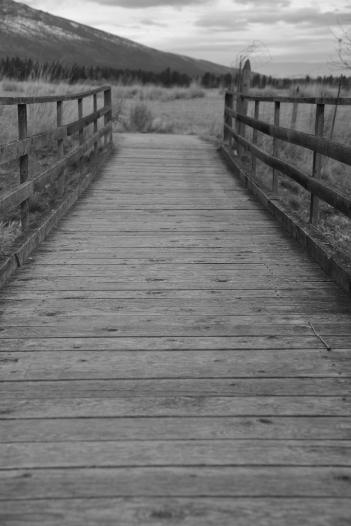 How far have you come? bridge, foot bridge, moving past experiences, letting go of past experiences