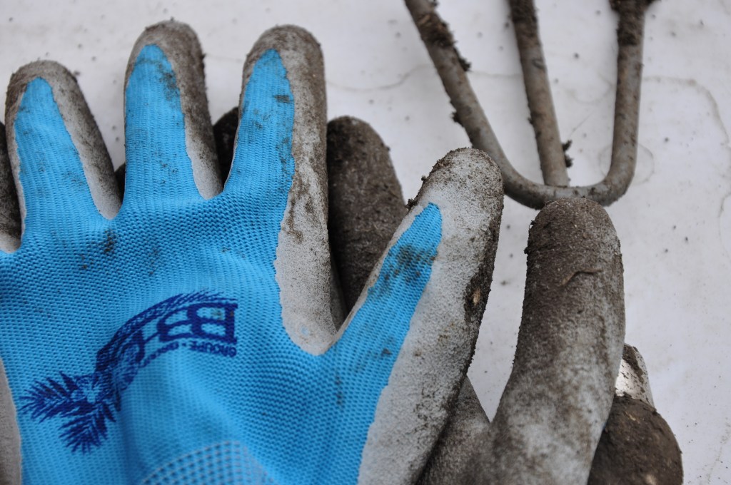 Spring Garden Clean-up