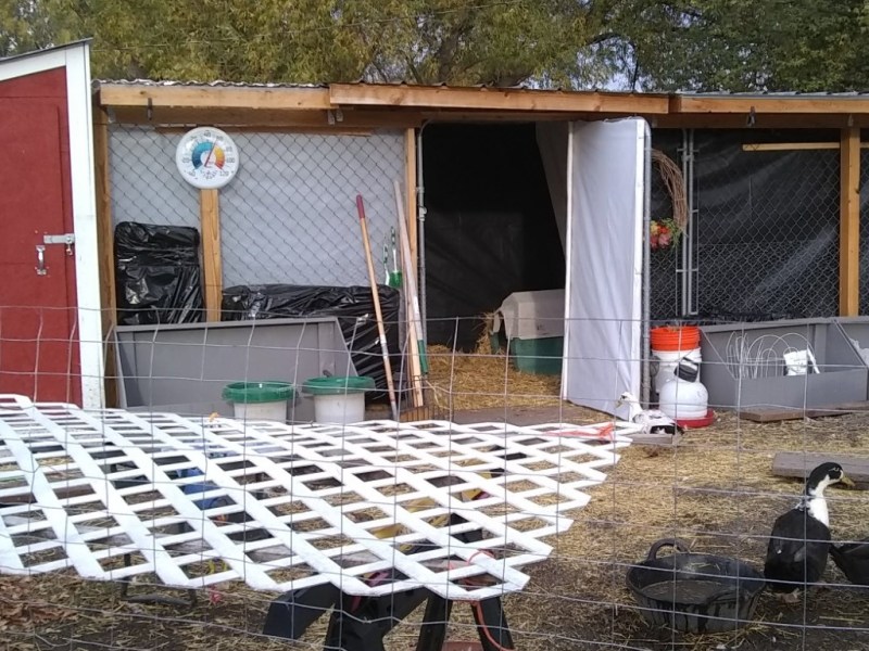 Winterizing a Duck house and&nbsp;run