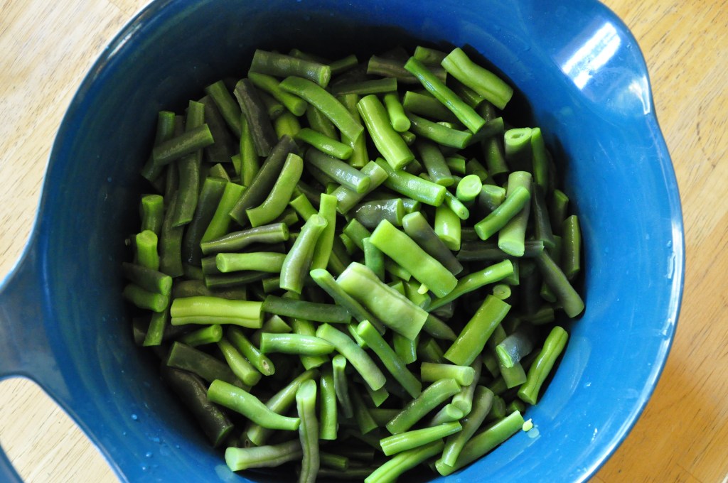Food Saver Series: Green Beans, freezing green beans, saving green beans, saving food, green beans, drying green beans