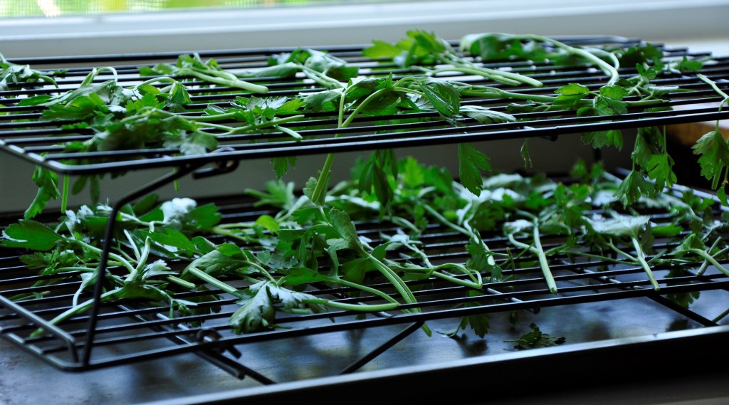 Food Saver Series: Herbs, drying herbs, drying basil, drying sage, drying thyme, drying parsley, freezing chives, drying chives