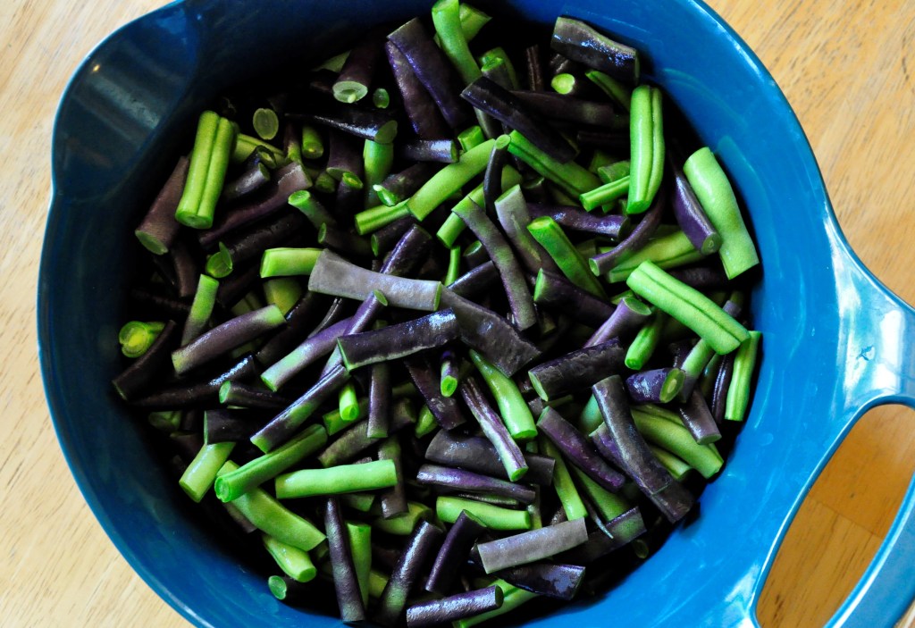 Food Saver Series: Green Beans, freezing green beans, saving green beans, saving food, green beans, drying green beans