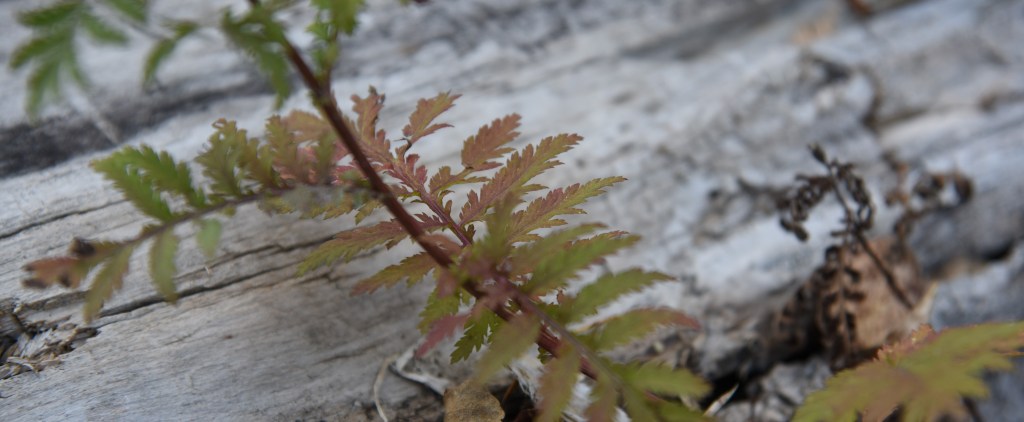 "How can you do it all?", getting stuff done, how to get stuff done