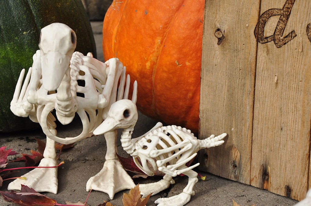 #halloweensigns #halloweenchickensigns #halloweenducksign #halloweenandchickens #halloweenandducks #diyhalloweensign #diyhalloweendecor #outdoorhalloweendecor #ducks #duckprojects #ducksigns #ducksign #skeletonducks
#palletwood #palletproject #palletprojects #palletprojectsandcreations #palletsign #palletsigns