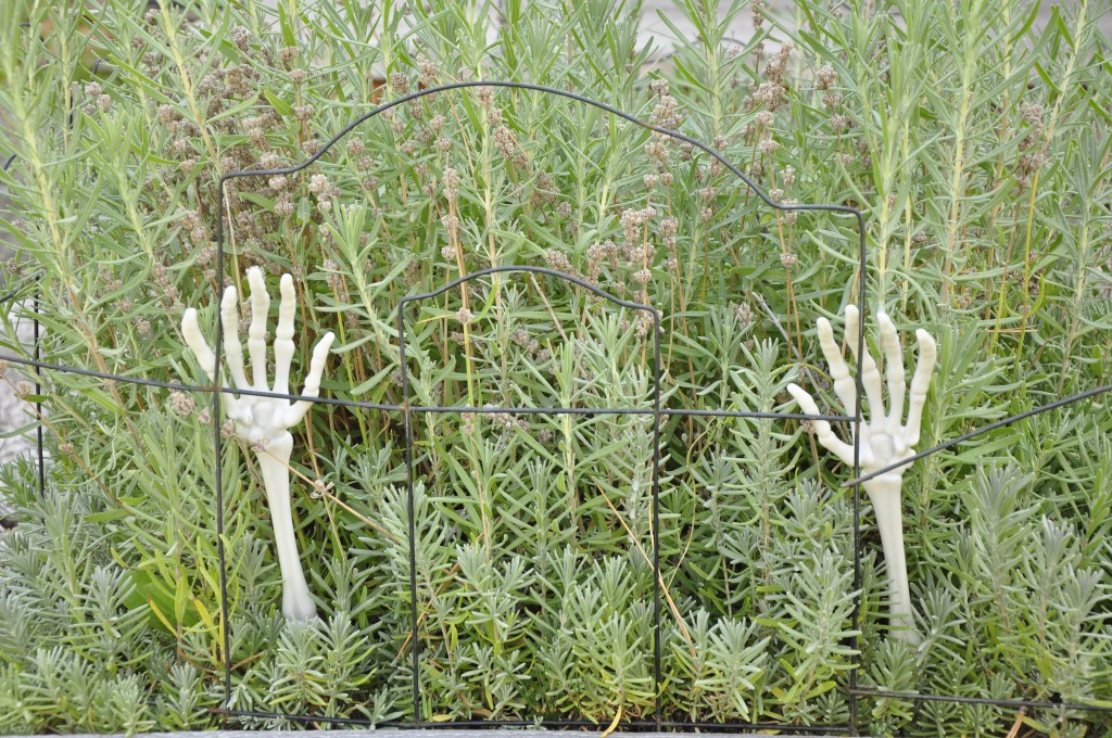 halloween decoration, easy halloween decorations, outdoor halloween decorations
#halloweendecoration #easyhalloweendecorations #outdoorhalloweendecorations #easyoutdoorhalloweendecorations #halloweenskeletons #pallettombstones #simpletombstone #simplepalletcross #palletcross #halloweengravemarkers #halloweentombstones #halloweengravemarkers