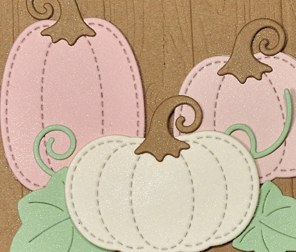 #lawnfawn #lawnfawnstitchedpumpkins #lawnfawnpumpkinhouse #lawnfawndies #stampinup #stampinupdies #stampinupembossingfolder #stampinupstitchedgreenery #stampinuppinewoodplanks #stampinupcorrugated #sunnystudio #sunnystudiostamps #sunnystudiostampsbountifulautumn #fallcards #homemadefallcards #diyfallcards #pumpkincards #homemadepumpkincards #cardsmadewithdies #perfectpearls #perfectpearlspowder