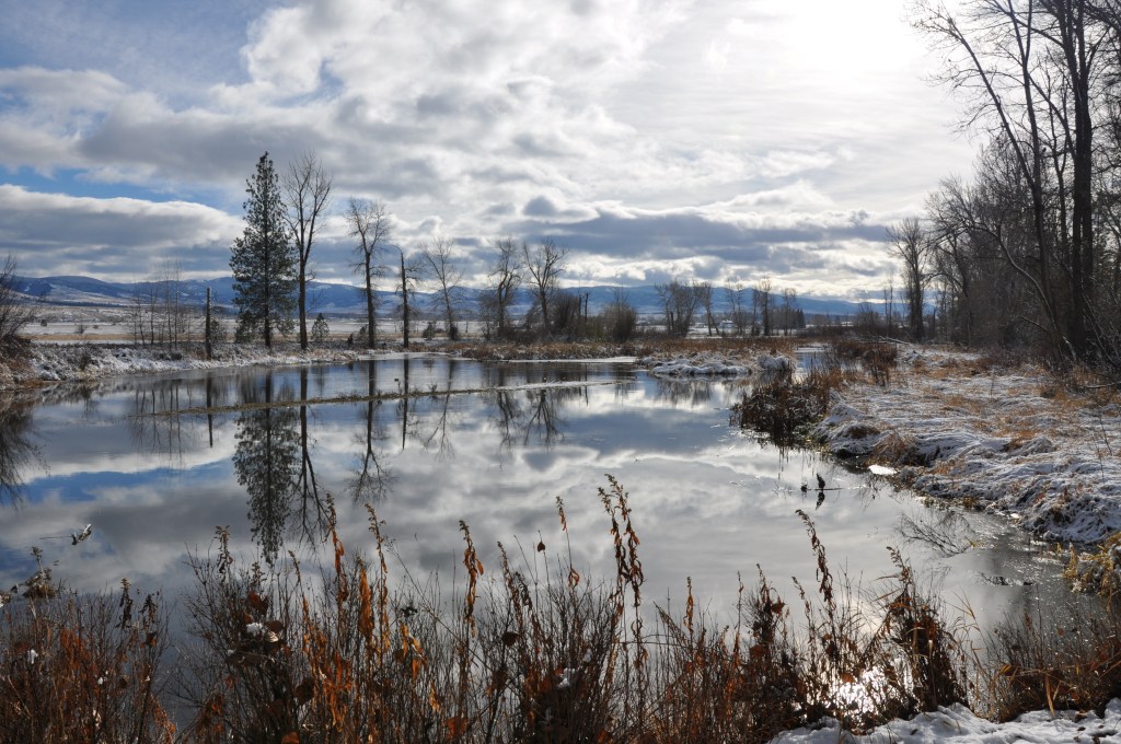 #bitterrootvalley #leeMetcalfnationalwildliferefuge #pondinwildliferefuge #wildlifenationalrefuge #waterreflectingsky #waterreflectingtrees #leemetcalf #montana #mtdawn #//mtdawn #//mtdawnphotography