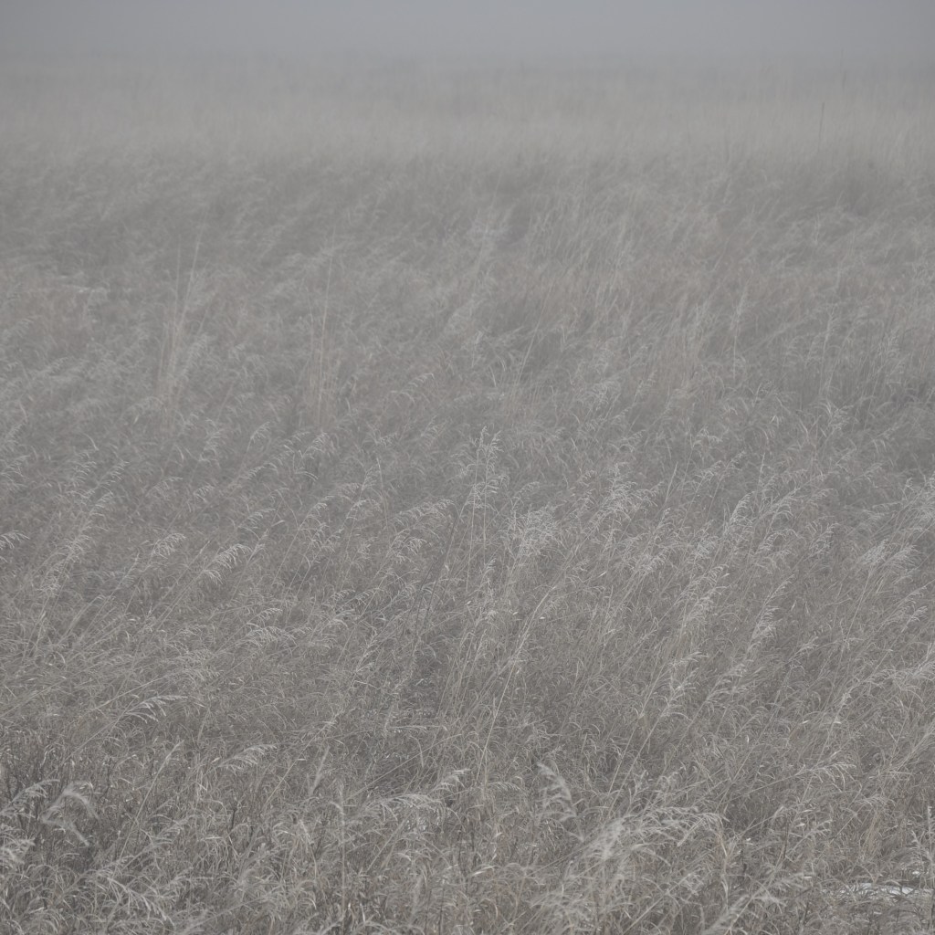 #winterfield #winterphotography #nikond90 #nikonphotography #mtdawn #//mtdawn #//mtdawnphotography