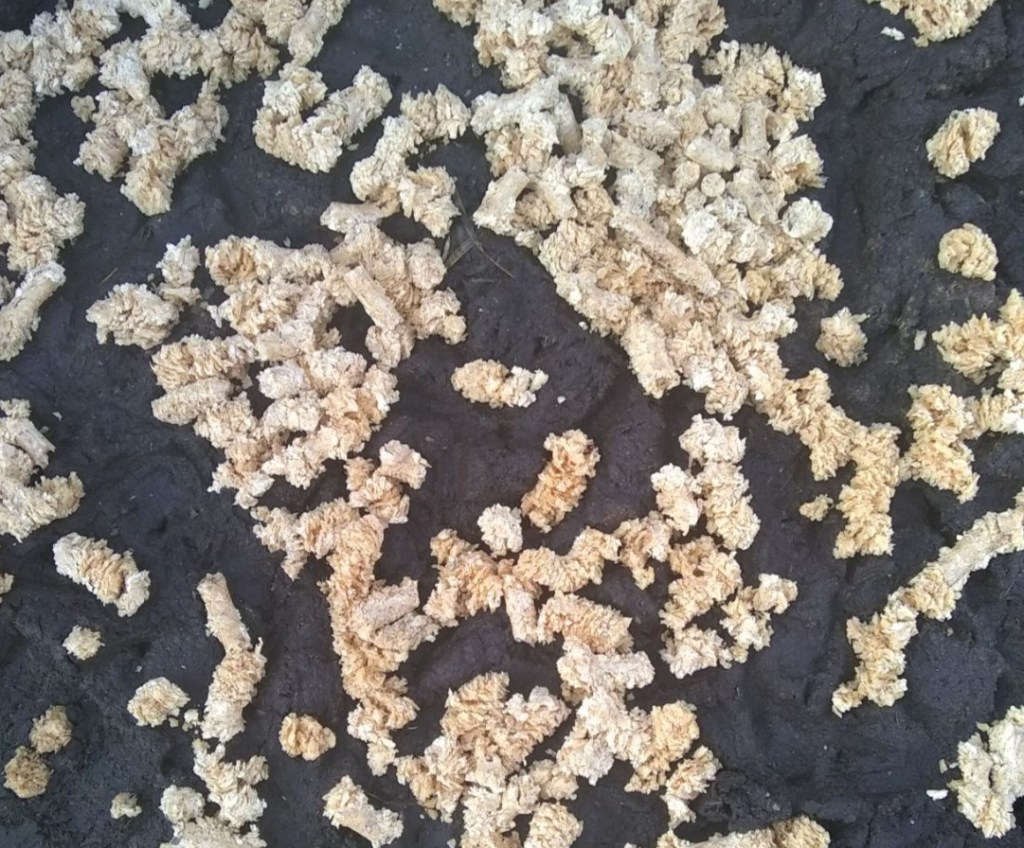 #keepingcoopdry #keepingrundry #ducksinwinter #ducksinspring #waterinthecoop #waterintheduckrun #keepingducks 