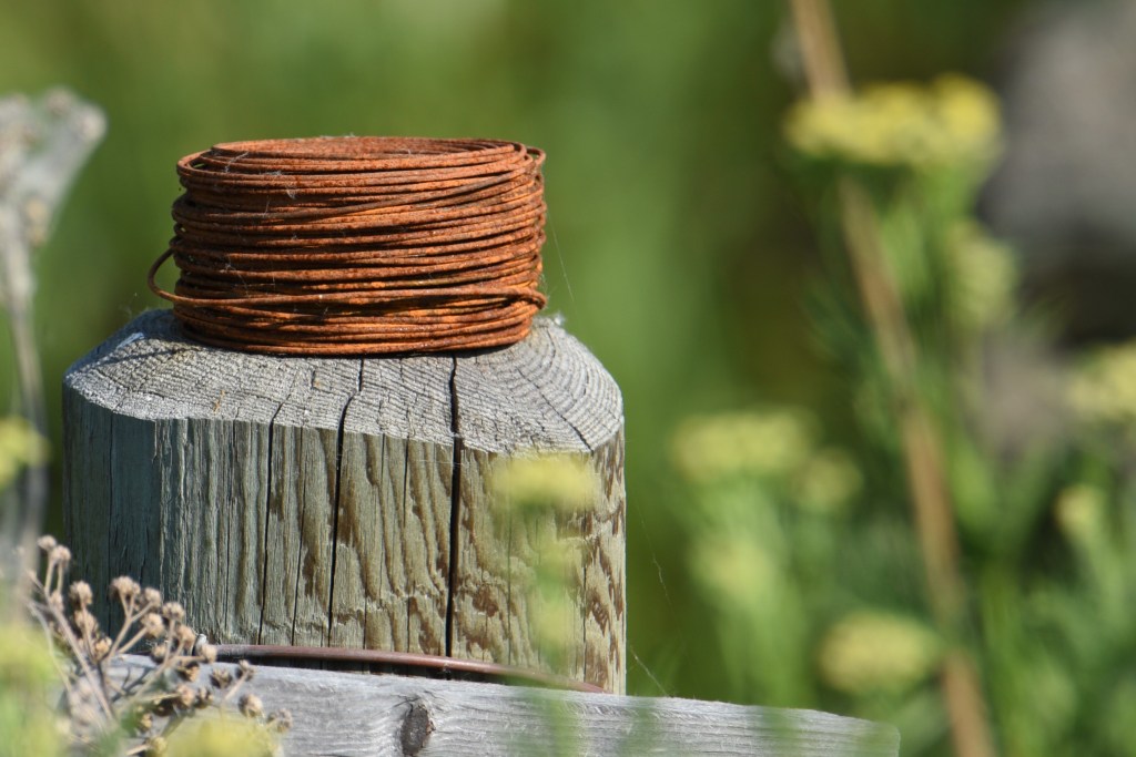 Rusted
#nikon #nikonphotography #nikond810 #mtdawn #//mtdawn #//mtdawnphotography